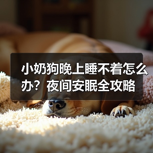 小奶狗晚上睡不着怎么办?夜间安眠全攻略(图4) 小奶狗晚上睡不着怎么办?夜间安眠全攻略(图4)