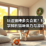 玩逗猫棒多久会累?科学解析猫咪体力与游戏时长(图3) 玩逗猫棒多久会累?科学解析猫咪体力与游戏时长(图3)