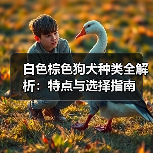 白色棕色狗犬种类全解析：特点与选择指南