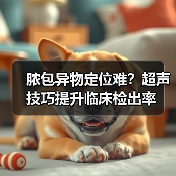 脓包异物定位难？超声技巧提升临床检出率