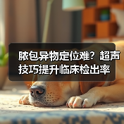 脓包异物定位难？超声技巧提升临床检出率(图3)
