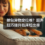 脓包异物定位难？超声技巧提升临床检出率(图4)