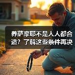 养萨摩耶不是人人都合适？了解这些条件再决定(图2)