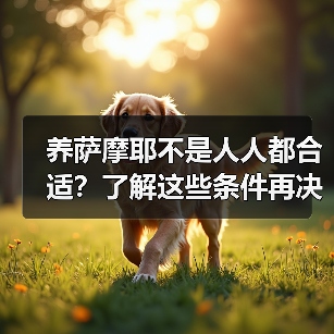养萨摩耶不是人人都合适？了解这些条件再决定(图3)