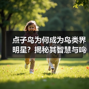 点子鸟为何成为鸟类界明星？揭秘其智慧与鸣叫之谜