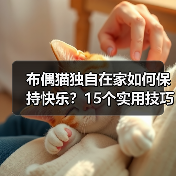 布偶猫独自在家如何保持快乐？15个实用技巧助它安心度日(图1)