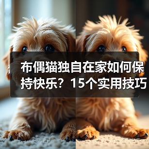 布偶猫独自在家如何保持快乐？15个实用技巧助它安心度日(图2)