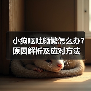 小狗呕吐频繁怎么办？原因解析及应对方法(图2)