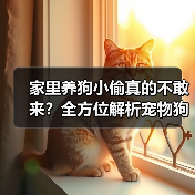 家里养狗小偷真的不敢来?全方位解析宠物狗的防盗威慑力(图1) 家里养狗小偷真的不敢来?全方位解析宠物狗的防盗威慑力(图1)