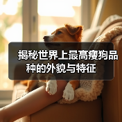 揭秘世界上最高瘦狗品种的外貌与特征