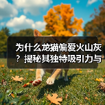 为什么龙猫偏爱火山灰?揭秘其独特吸引力与健康优势(图3) 为什么龙猫偏爱火山灰?揭秘其独特吸引力与健康优势(图3)