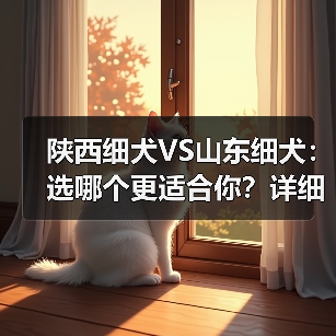 陕西细犬VS山东细犬:选哪个更适合你?详细对比指南(图3) 陕西细犬VS山东细犬:选哪个更适合你?详细对比指南(图3)