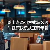 哈士奇牵引方式怎么选?健康快乐从正确牵引开始(图3) 哈士奇牵引方式怎么选?健康快乐从正确牵引开始(图3)