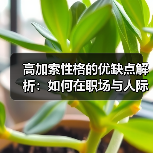高加索性格的优缺点解析：如何在职场与人际中灵活运用？