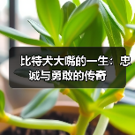 比特犬大嘴的一生：忠诚与勇敢的传奇