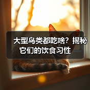 大型鸟类都吃啥?揭秘它们的饮食习性(图3) 大型鸟类都吃啥?揭秘它们的饮食习性(图3)