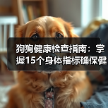 狗狗健康检查指南：掌握15个身体指标确保健康(图4)
