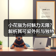 小花猫为何魅力无限？解析其可爱外形与独特个性(图4)