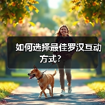 如何选择最佳罗汉互动方式？