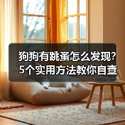 狗狗有跳蚤怎么发现?5个实用方法教你自查(图1) 狗狗有跳蚤怎么发现?5个实用方法教你自查(图1)
