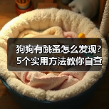 狗狗有跳蚤怎么发现?5个实用方法教你自查(图3) 狗狗有跳蚤怎么发现?5个实用方法教你自查(图3)