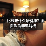 比熊吃什么最健康？全面饮食清单解析(图2)