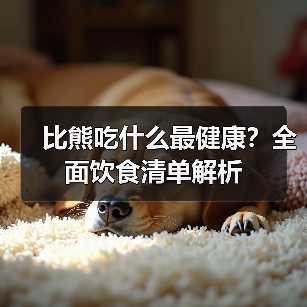 比熊吃什么最健康？全面饮食清单解析(图3)