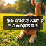 猫咪肉垫毛怎么剪?新手必看的高效剪法(图3) 猫咪肉垫毛怎么剪?新手必看的高效剪法(图3)