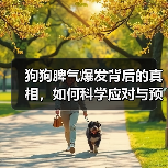 狗狗脾气爆发背后的真相,如何科学应对与预防?(图3) 狗狗脾气爆发背后的真相,如何科学应对与预防?(图3)