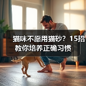 猫咪不愿用猫砂？15招教你培养正确习惯(图3)