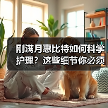 刚满月惠比特如何科学护理?这些细节你必须知道(图2) 刚满月惠比特如何科学护理?这些细节你必须知道(图2)