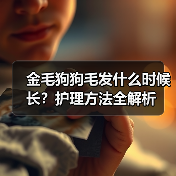 金毛狗狗毛发什么时候长？护理方法全解析(图2)