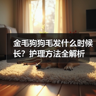 金毛狗狗毛发什么时候长？护理方法全解析