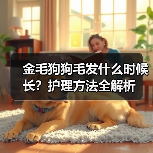 金毛狗狗毛发什么时候长？护理方法全解析(图3)