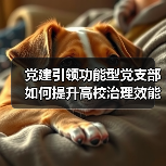 党建引领功能型党支部如何提升高校治理效能？(图4)