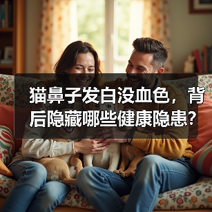 猫鼻子发白没血色，背后隐藏哪些健康隐患？(图2)