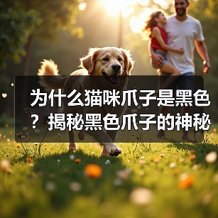 为什么猫咪爪子是黑色?揭秘黑色爪子的神秘功能(图4) 为什么猫咪爪子是黑色?揭秘黑色爪子的神秘功能(图4)