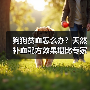 狗狗贫血怎么办?天然补血配方效果堪比专家推荐(图3) 狗狗贫血怎么办?天然补血配方效果堪比专家推荐(图3)