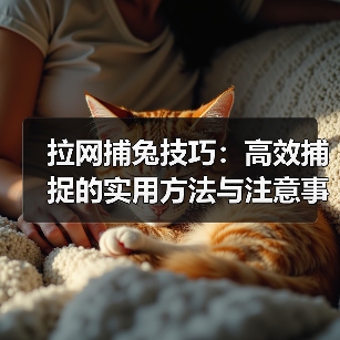 拉网捕兔技巧：高效捕捉的实用方法与注意事项(图2)
