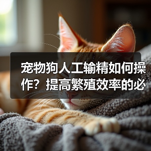 宠物狗人工输精如何操作？提高繁殖效率的必备技巧(图3)