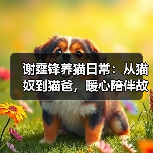 谢霆锋养猫日常：从猫奴到猫爸，暖心陪伴故事(图3)