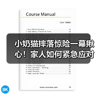 小奶猫摔落惊险一幕揪心！家人如何紧急应对？(图3)