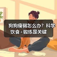 狗狗瘦弱怎么办？科学饮食+锻炼是关键