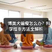 博美犬偏瘦怎么办?科学增重方法全解析(图3) 博美犬偏瘦怎么办?科学增重方法全解析(图3)