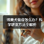 博美犬偏瘦怎么办?科学增重方法全解析(图4) 博美犬偏瘦怎么办?科学增重方法全解析(图4)