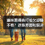 猫咪困得直打哈欠却睡不着？这些原因和解决方法值得了解(图3)