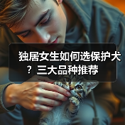 独居女生如何选保护犬?三大品种推荐(图3) 独居女生如何选保护犬?三大品种推荐(图3)