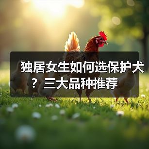 独居女生如何选保护犬?三大品种推荐(图4) 独居女生如何选保护犬?三大品种推荐(图4)