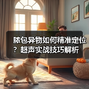 脓包异物如何精准定位？超声实战技巧解析(图3)