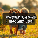 脓包异物如何精准定位？超声实战技巧解析(图4)